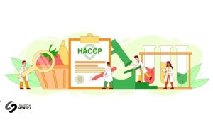 危険な温度と安全な食品保管について探る