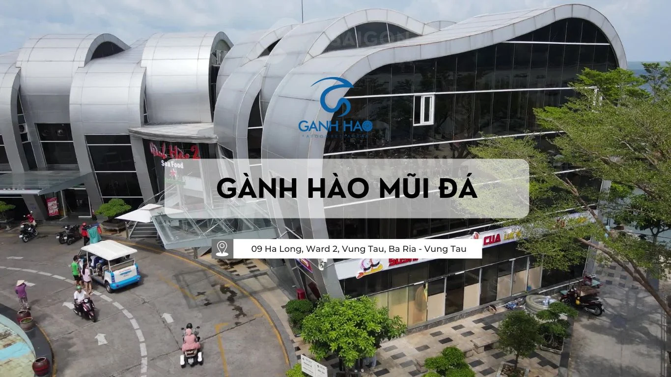 Gành Hào – nơi hồn biển hội tụ